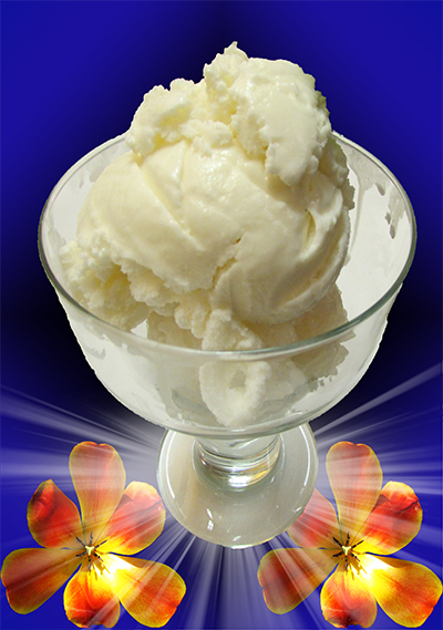 HOMEMADE COCONUT ICE CREAM
